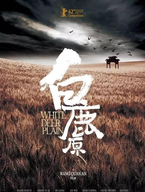 买个假比利时驾照